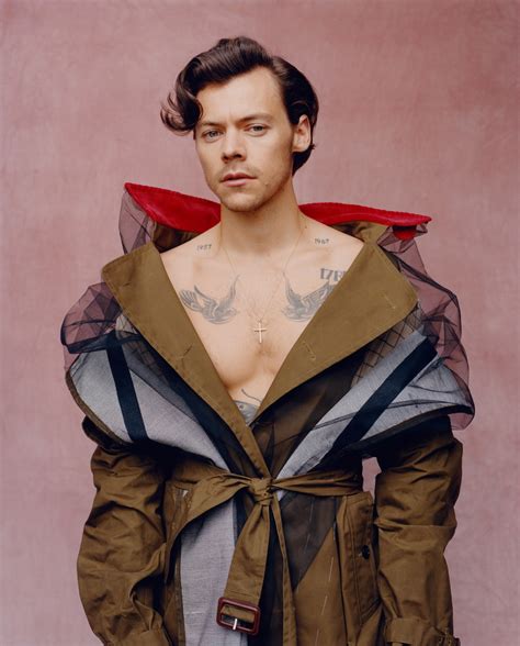 harry styles naked|Harry Styles Poses Nude for New Album Photos